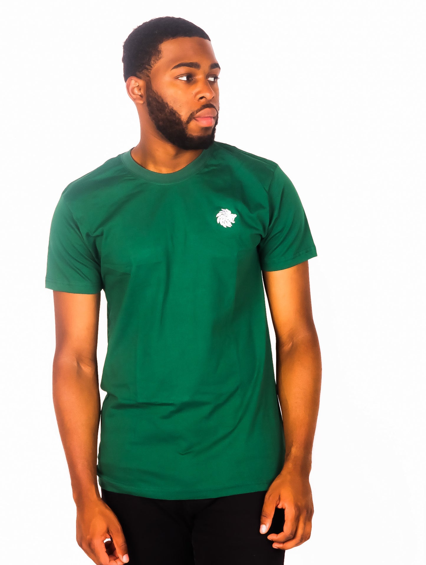 Men's T shirt Green Slim Fit