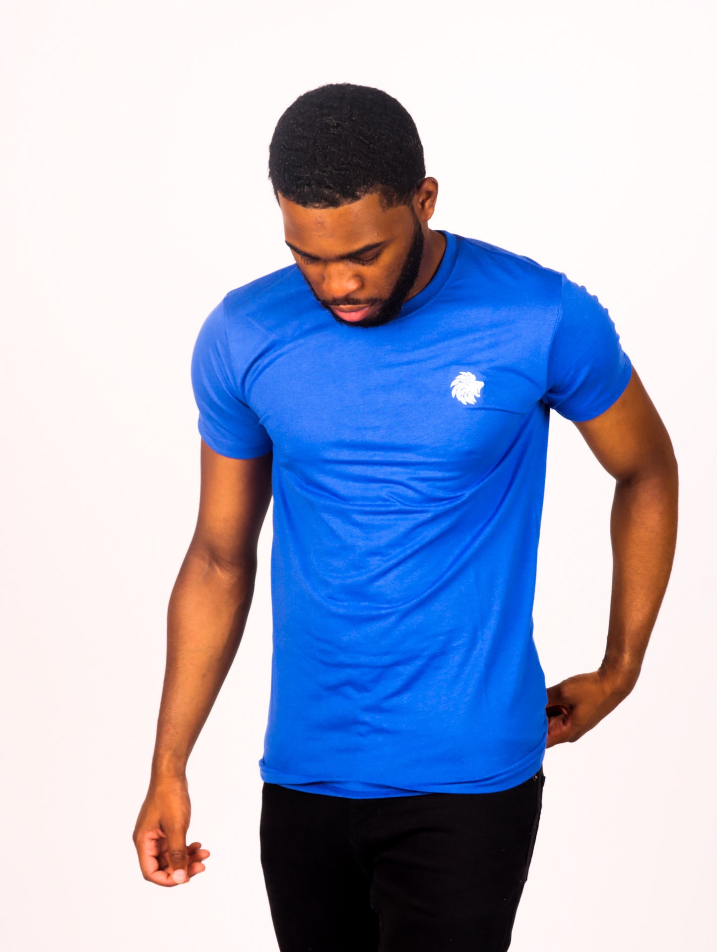 Men's T shirt Blue Slim Fit