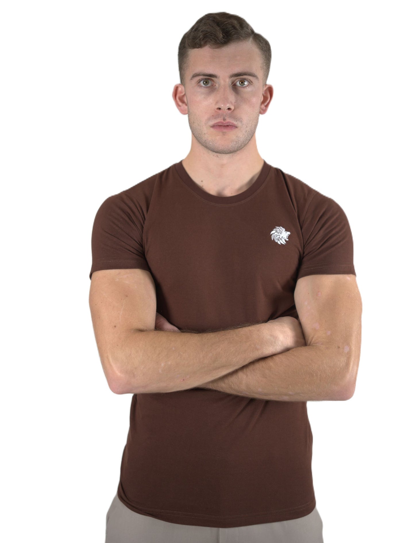 Men's T Shirt Dark Brown Slim Fit